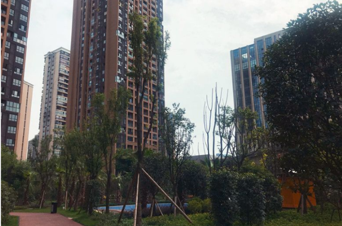 南岸区,弹子石,天誉智慧城