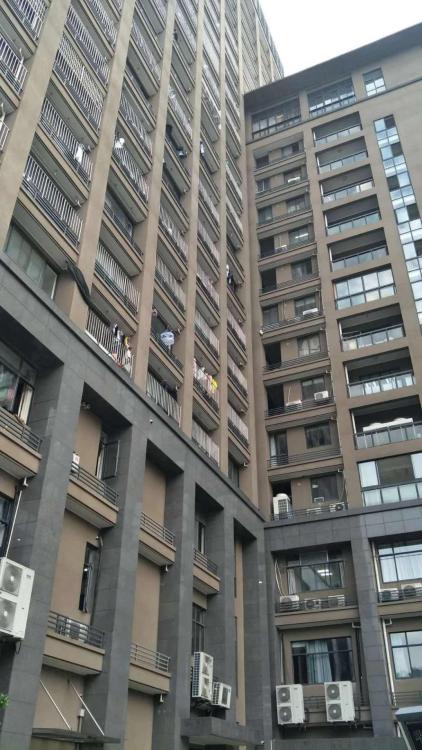 萧山区钱江世纪城 海杰德大厦 1室1卫 49平米