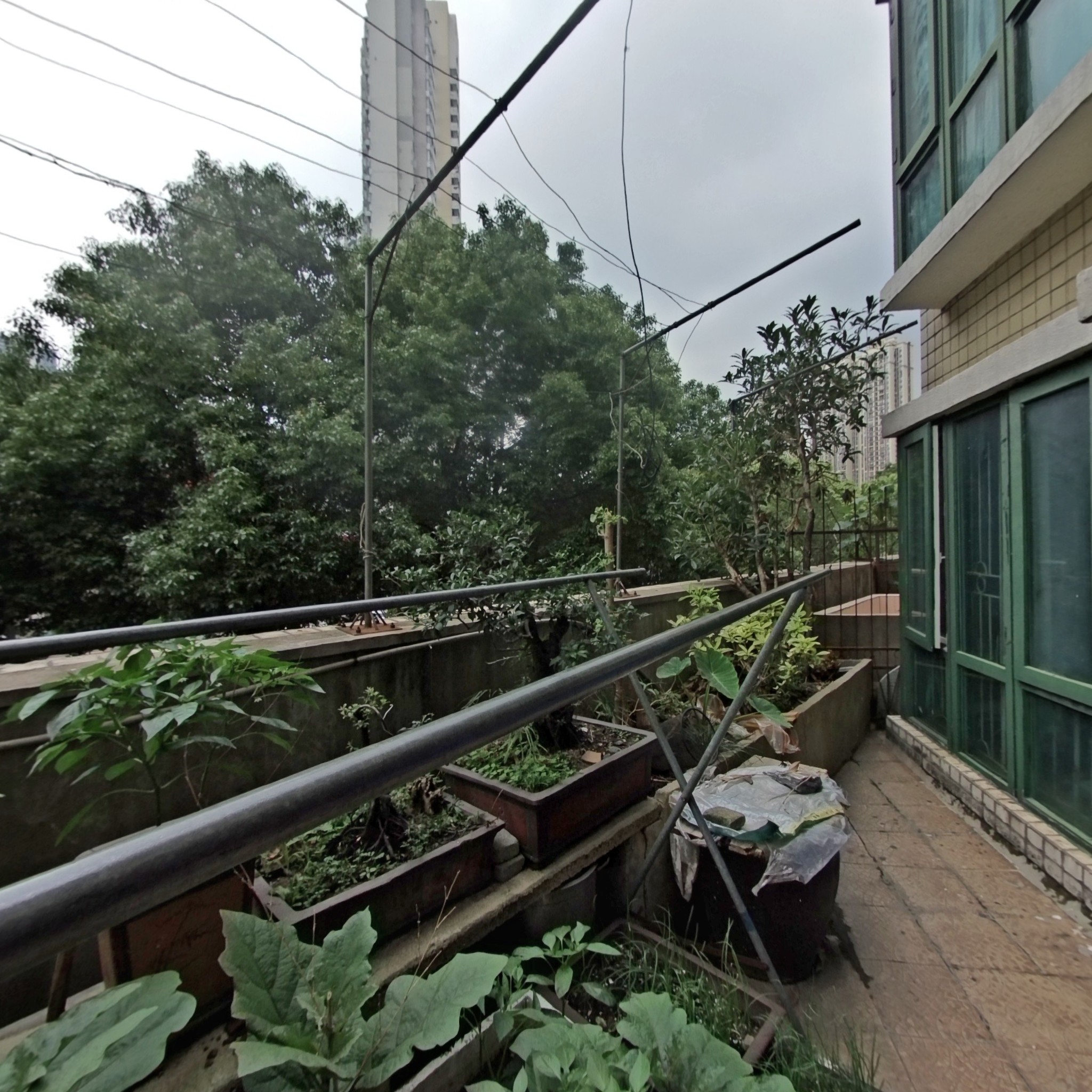 鹦鹉花园两室一厅，东南朝向，紧邻地铁，交通便利！