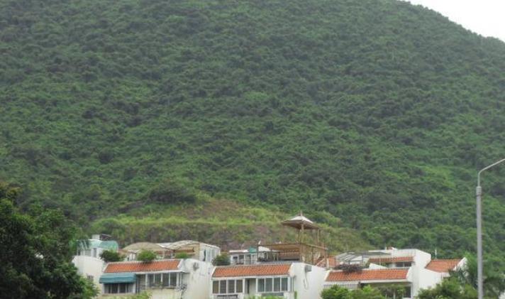 深圳租房 南山区 蛇口 月亮湾山庄别墅