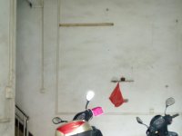 四会市,四会市,光明南路,5室2厅,200㎡