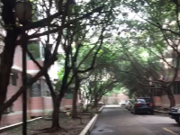 华阳,华阳,华阳教师公寓,3室2厅,108㎡