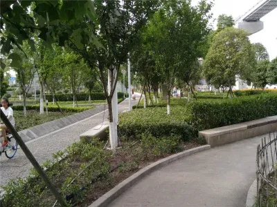 广安城北,,鑫金庄园