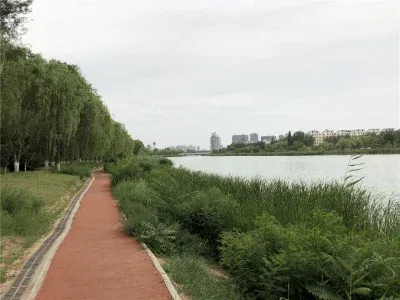 金凤,金凤区,清水湾幸福枫景
