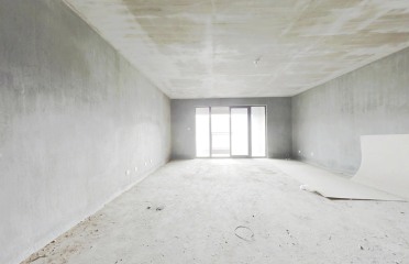 南湖边 上叠 观湖 毛坯 带车位