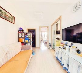 新街口  大街金鹰省中妇幼旁 电梯房  花园二室二厅双阳台