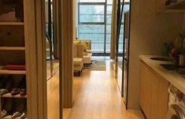 空港中心， 复试公寓，开发商装修，可配备家私电器