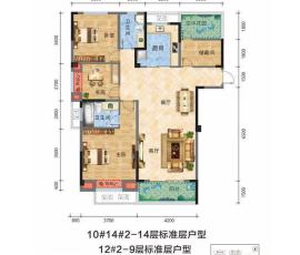 户型信息