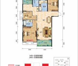 户型信息