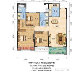 户型信息
