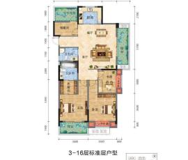 户型信息