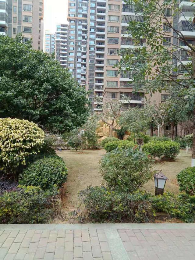 【仁兴城市花园租房】98平米1800仁兴城市花园2 1户型 2厅1卫1阳台