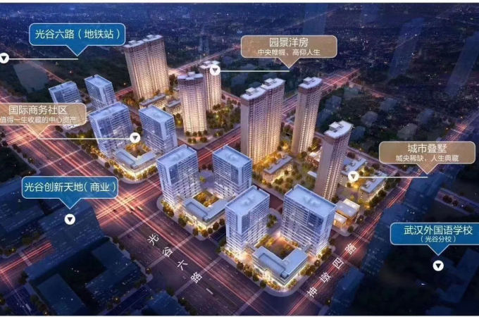 东湖高新区,其他,碧桂园云玺