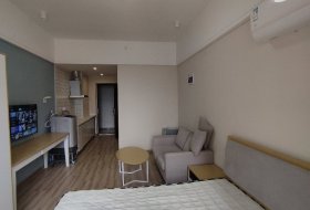 迎江区,绿地,绿地云公馆,绿地云公馆,1室1厅,42㎡