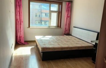 达顺小区1600元/月67㎡2室1厅1卫1阳台精装南北，