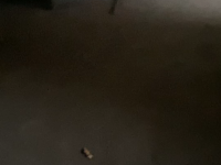叙州区,柏溪镇,驰城观澜上郡,,87.73㎡