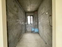川汇区,川汇,碧桂园天玺湾,,135㎡