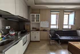 建发大阅城 两室 精装修