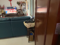 其他,黄岐,万科四季花城,,123㎡