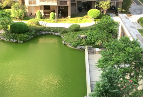 阳春市,城北,碧桂园中兴江山府,碧桂园中兴江山府,3室2厅,88㎡