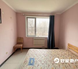 同泽园西里低楼层2居室出租