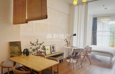 1室1厅1卫1阳台山顶一号，家电齐全，拎包入住